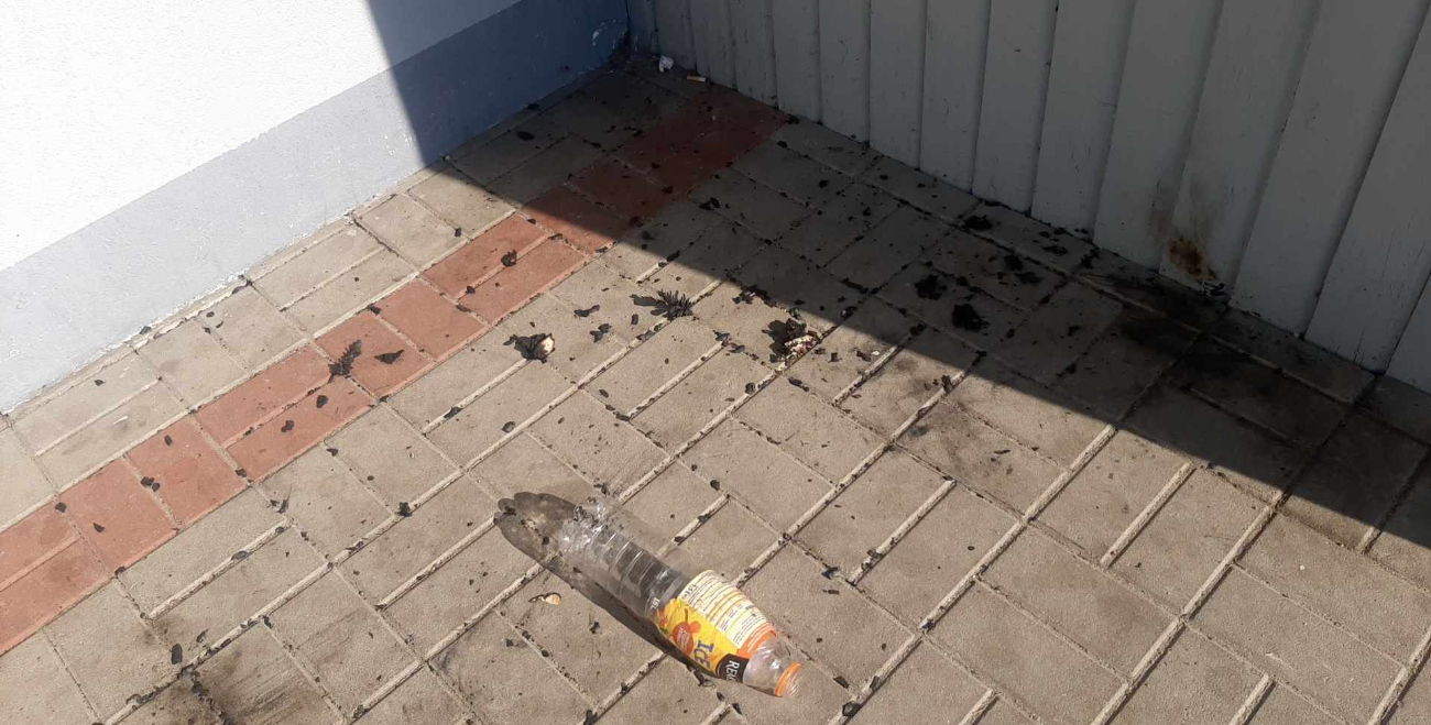 Zaśmiecanie, próby podpalenia. Wandalizm na terenie przedszkola