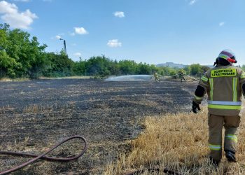 Paliło się pole w Słupcy