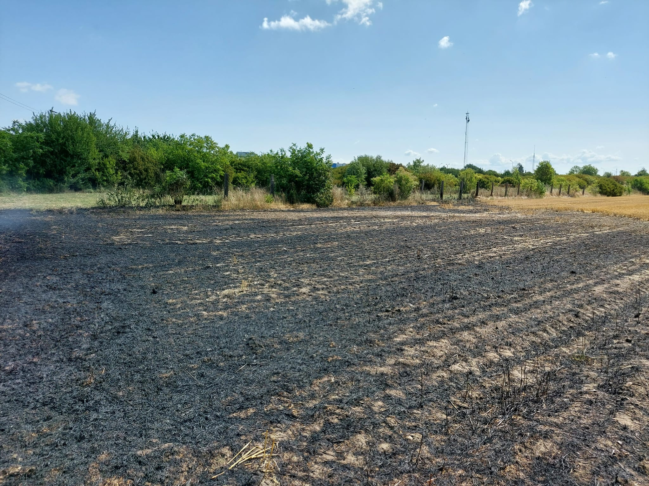 Paliło się pole w Słupcy