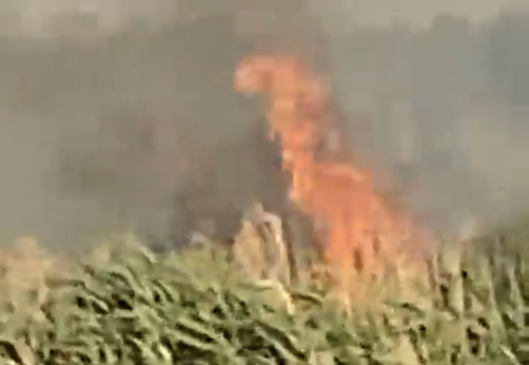 Płonęły łąki Nadwarciańskiego Parku Krajobrazowego