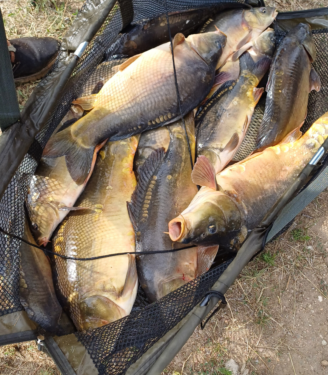 Mostostal tym razem łowił poza Słupcą