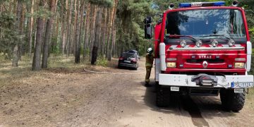 Strażacy interweniowali w lesie w Kosewie
