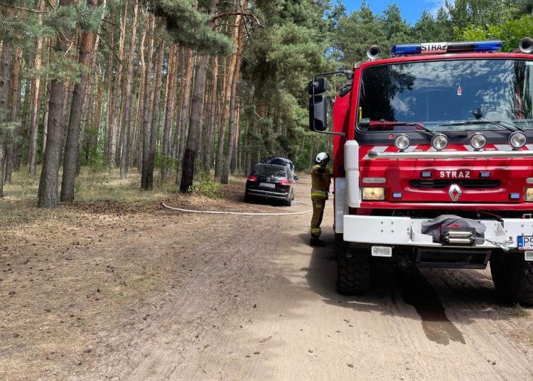 Strażacy interweniowali w lesie w Kosewie