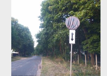 Zasłonili znaki w Przybrodzinie