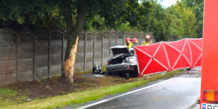 BMW uderzyło w drzewo. 21-latka nie żyje