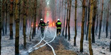 Palił się las w gminie Zagórów