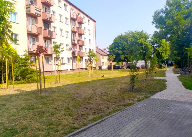 Między blokami powstał mini park