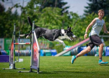 Monika i Fly na Mistrzostwach Europy