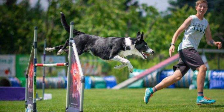 Monika i Fly na Mistrzostwach Europy