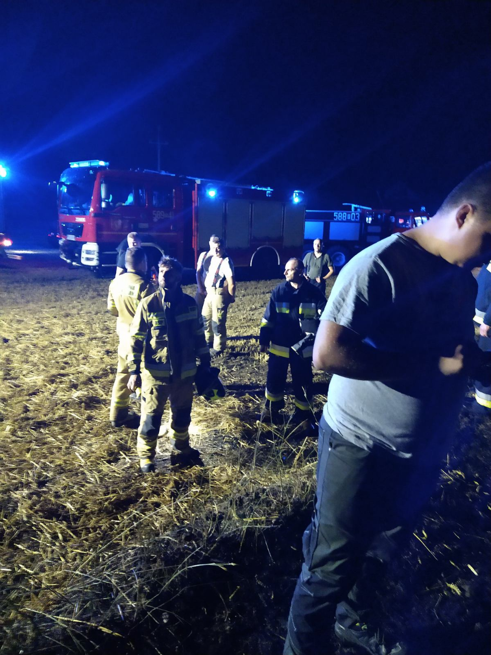 W nocy w Wierzbnie spłonęło pole pszenicy