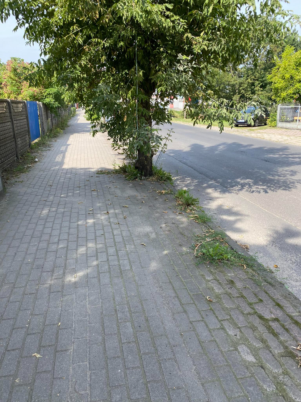 Tak wygląda droga na dworzec. „Wszystko jest zaniedbane”