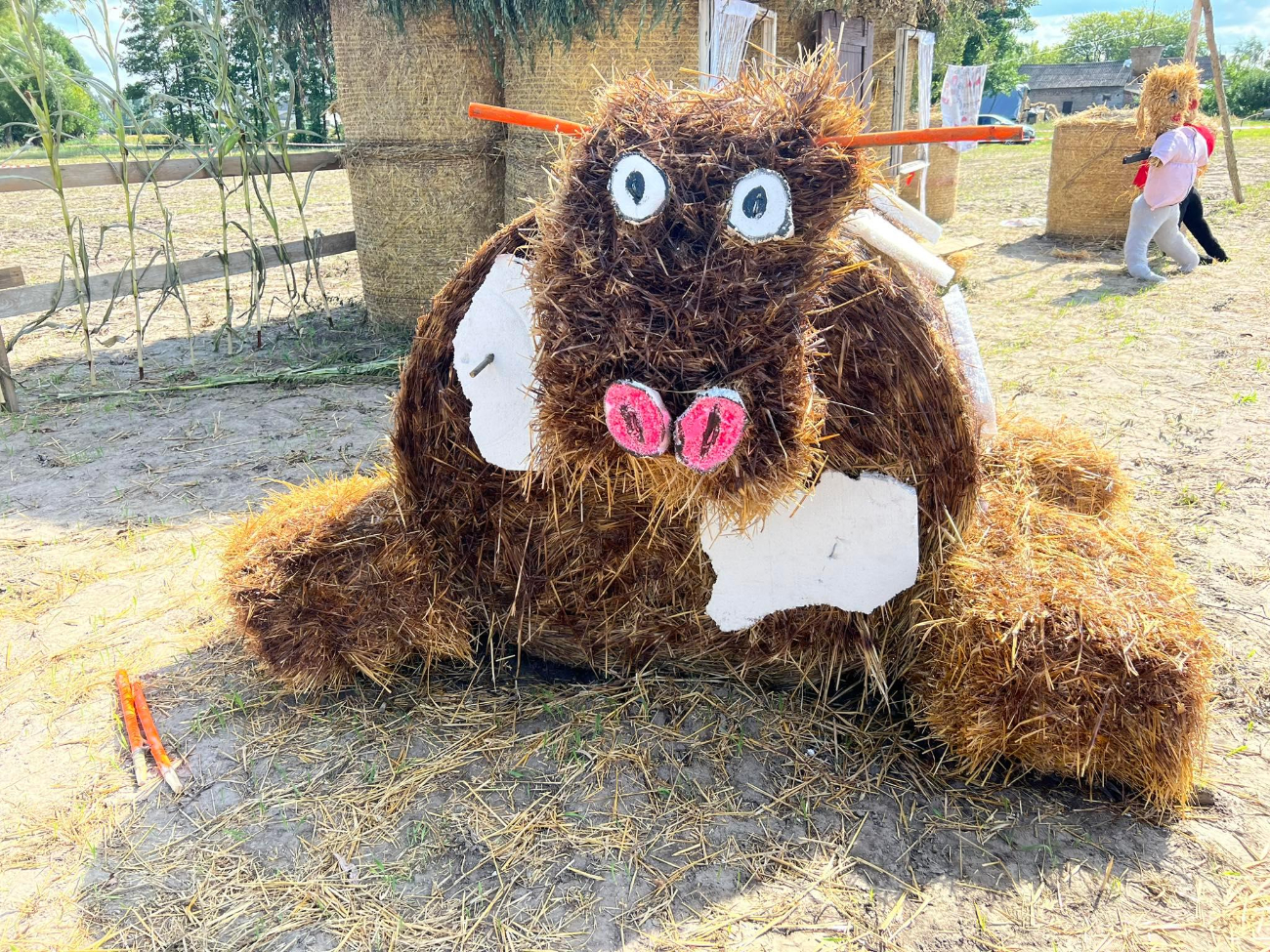 Tak się bawi Imielno. Zdjęcia z niezwykłych dożynek