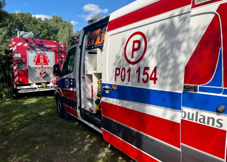 Ratowali mężczyznę użądlonego przez szerszenia