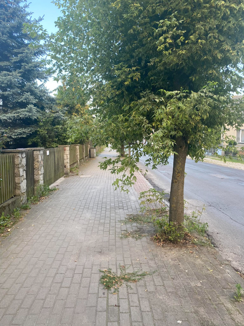 Tak wygląda droga na dworzec. „Wszystko jest zaniedbane”