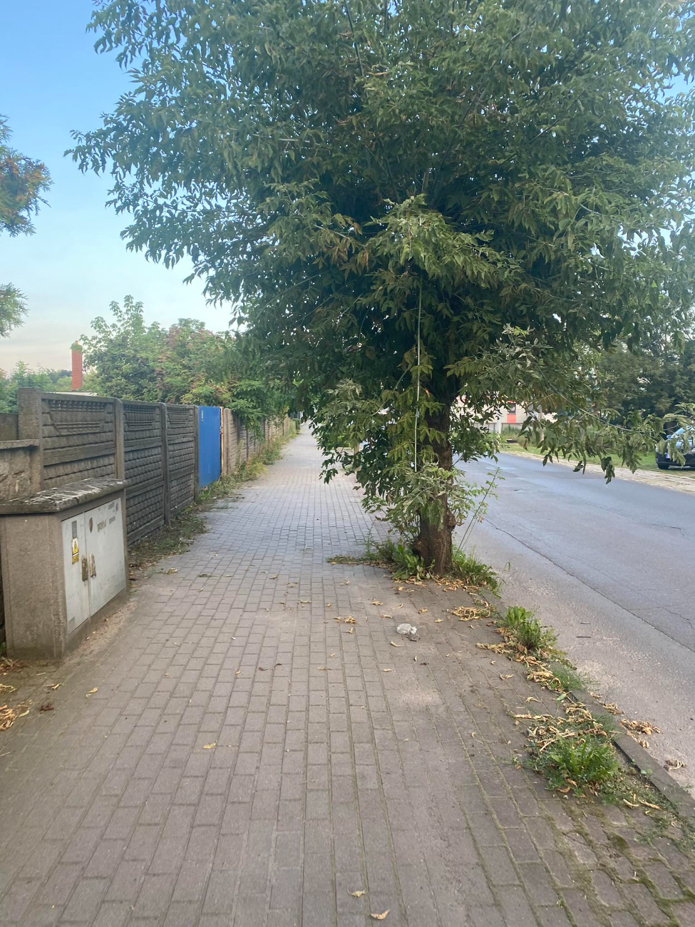 Tak wygląda droga na dworzec. „Wszystko jest zaniedbane”