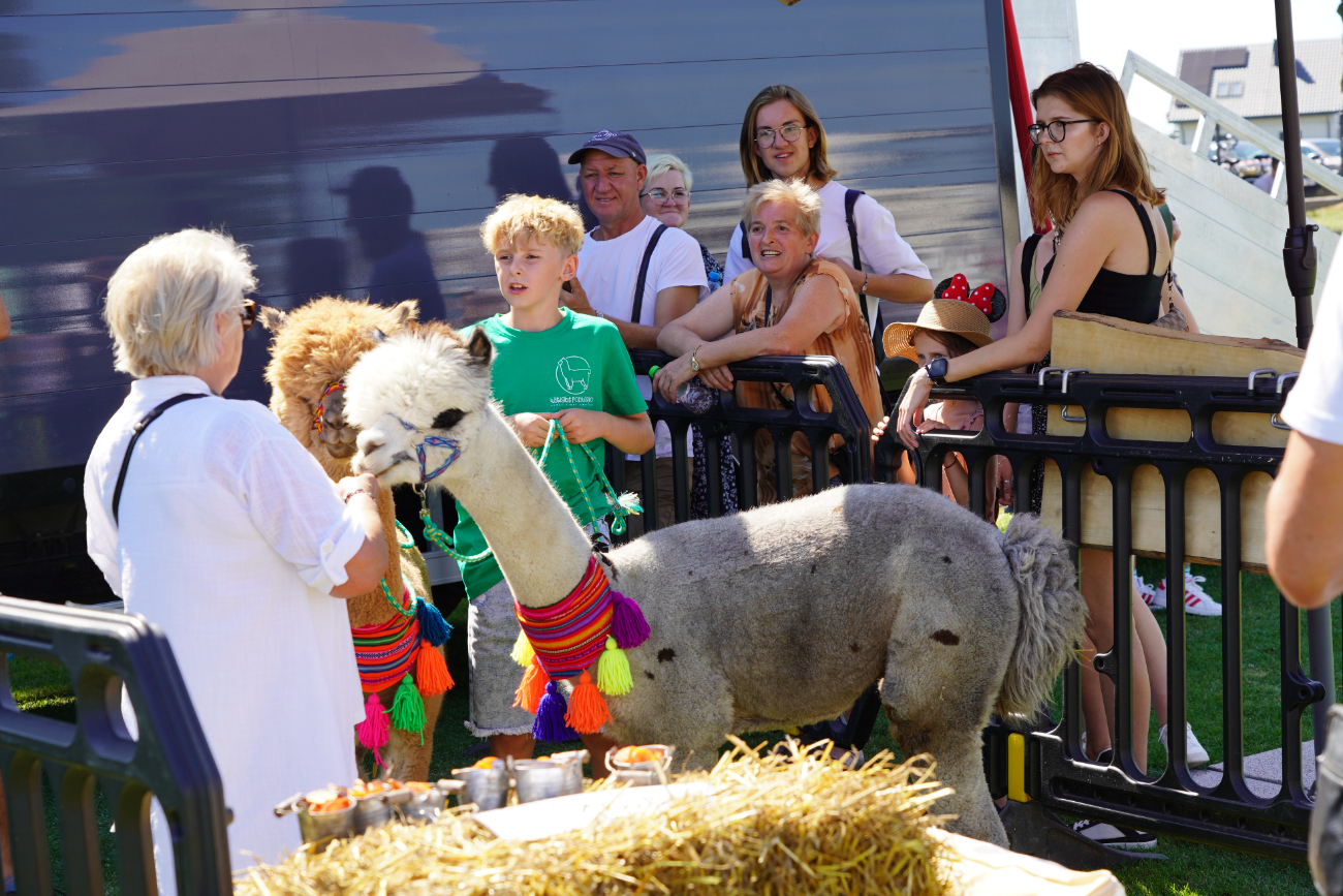 Piknik wojskowy w Ostrowitem. Zobacz zdjęcia