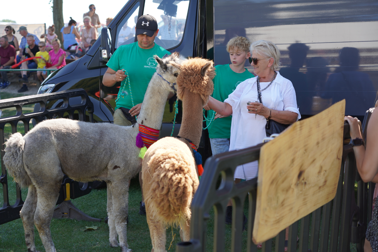 Piknik wojskowy w Ostrowitem. Zobacz zdjęcia