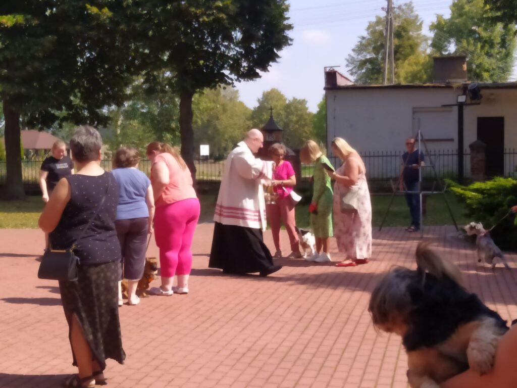 Proboszcz pobłogosławił… ślimaki