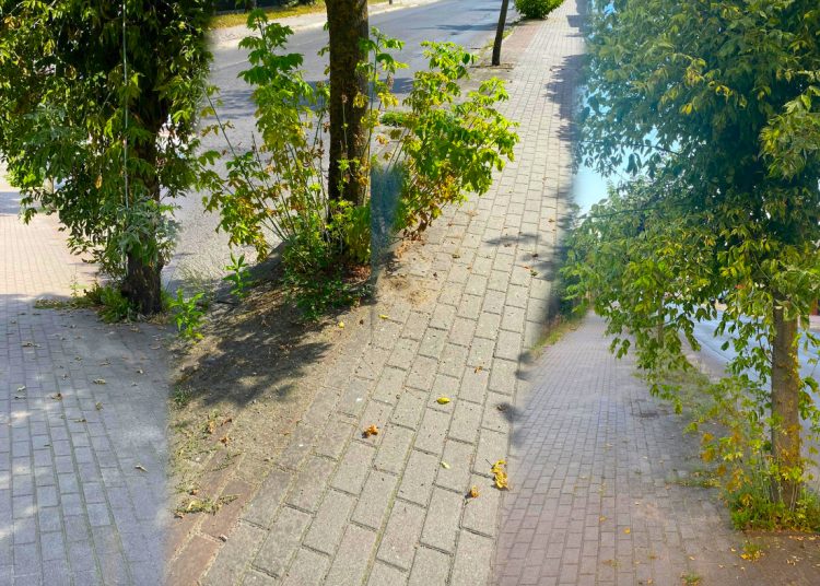 Tak wygląda droga na dworzec. „Wszystko jest zaniedbane”