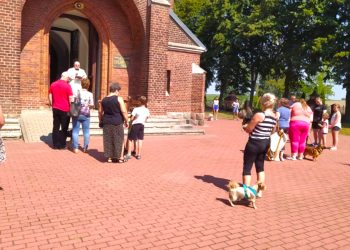 Proboszcz pobłogosławił… ślimaki