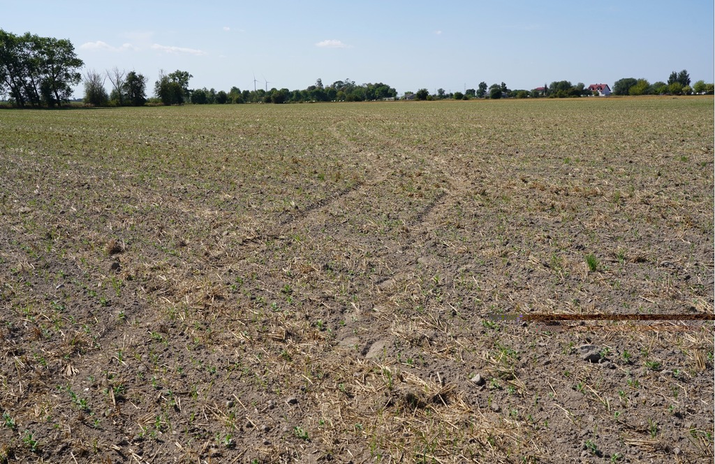 Szokujące sceny. Pies próbował przed nimi uciekać. Wszystko się nagrało