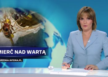 W Wydarzeniach Polsatu o tragedii w naszym powiecie