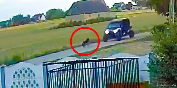 Szokujące sceny. Pies próbował przed nimi uciekać. Wszystko się nagrało