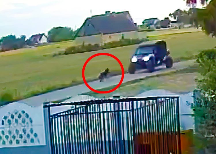 Szokujące sceny. Pies próbował przed nimi uciekać. Wszystko się nagrało