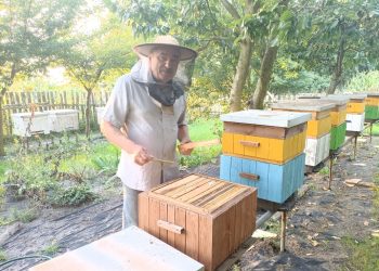Kto ma pszczoły, ten ma świat wesoły