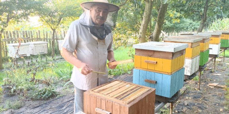 Kto ma pszczoły, ten ma świat wesoły