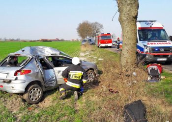 Nowy wyrok w sprawie wypadku Agnieszki