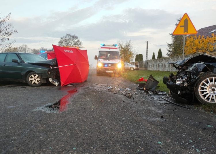Śmierć na drodze. Ustalili, kto zawinił