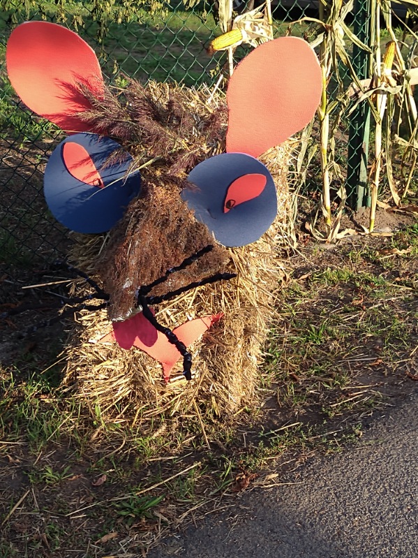 Dożynki Powiatowe w Młodojewie