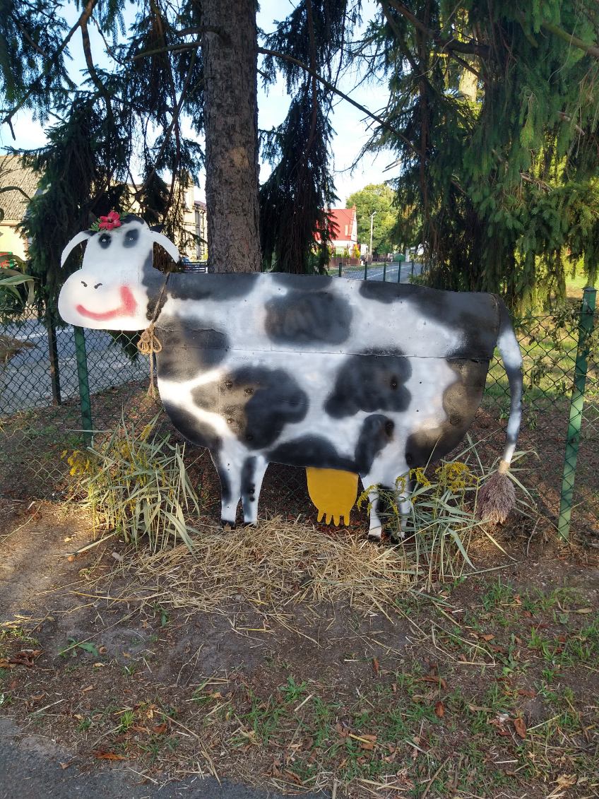 Dożynki Powiatowe w Młodojewie