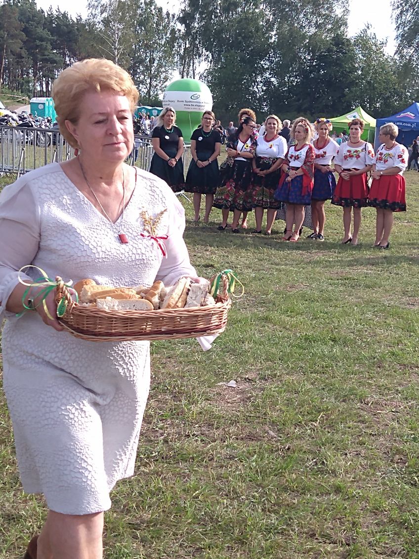 Dożynki Powiatowe w Młodojewie