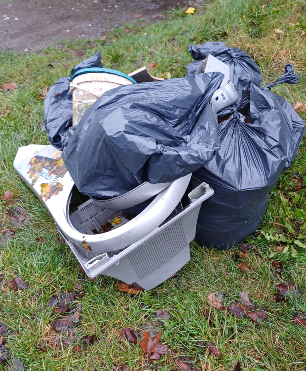 Wędkarze sprzątali brzeg jeziora