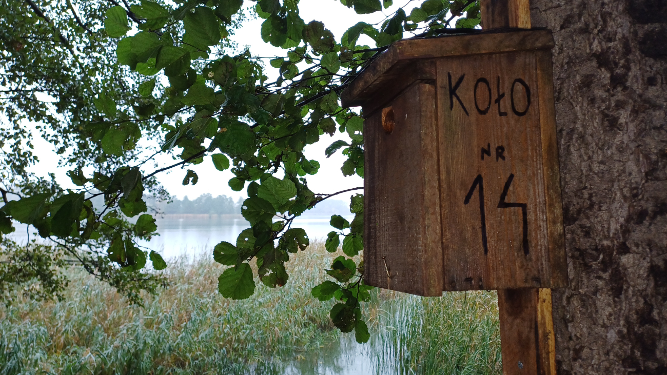 Wędkarze sprzątali brzeg jeziora