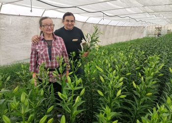 Uszczęśliwianie przez kwiaty