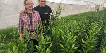 Uszczęśliwianie przez kwiaty