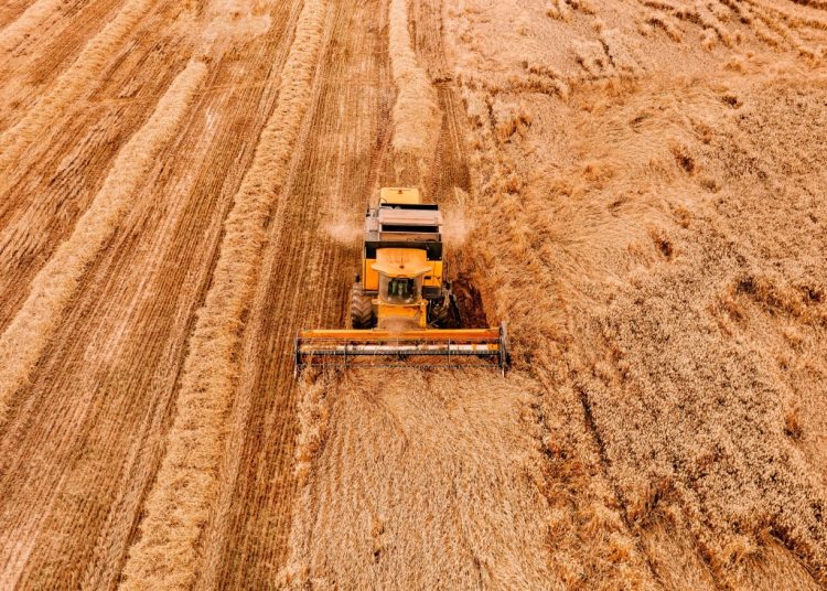 Wybór kombajnu do gospodarstwa – czym się kierować?