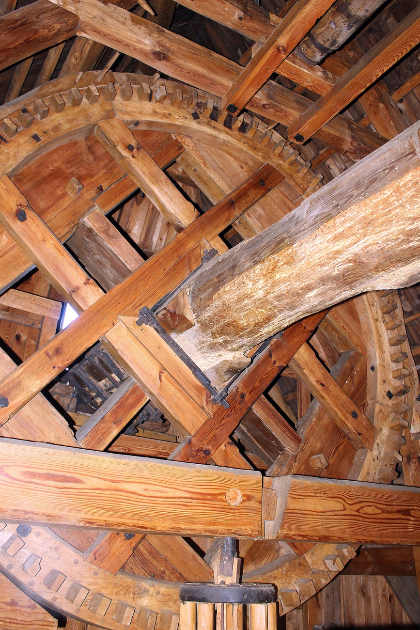 Uniwersytet na kolejnej wycieczce