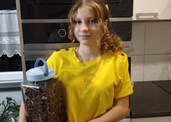 Grzyby to najlepsze dobrodziejstwa jesieni