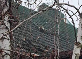 „Puszek” utknął na dachu. Pomogli miejscowi strażacy