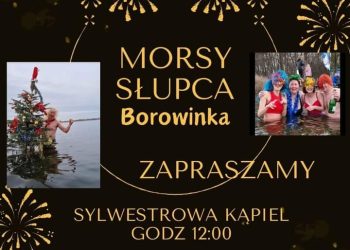 Koniec roku na borowince