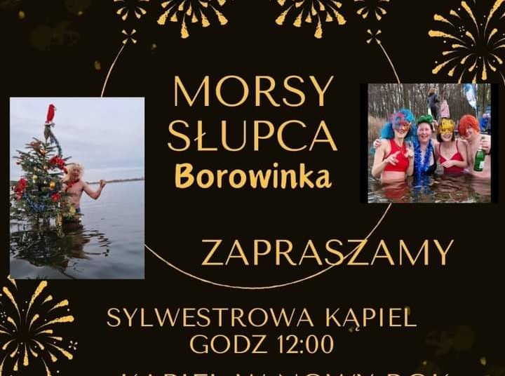 Koniec roku na borowince