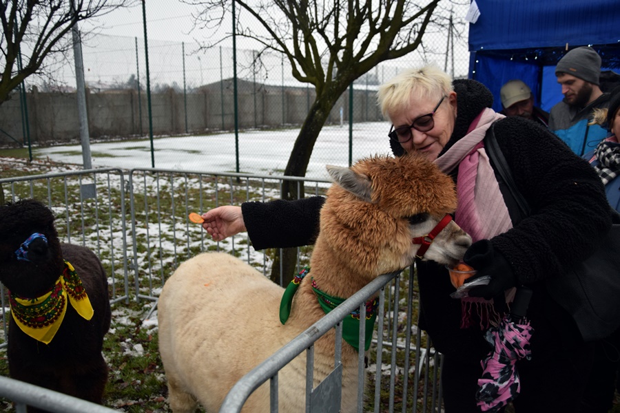 Strzałkowski jarmark przyciągnął tłumy ZDJĘCIA