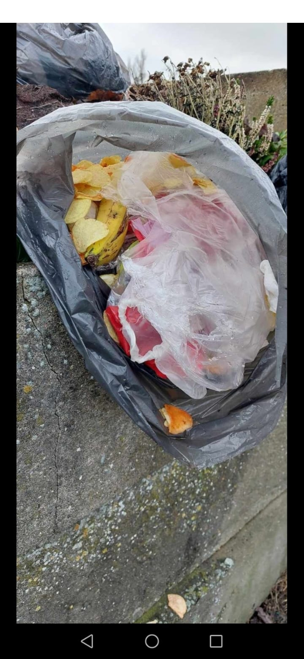 Sylwester na cmentarzu. Sprawa trafi na policję?