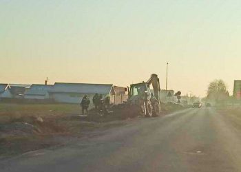 Wycięli drzewa. „Prawie zemdlałam, jak to zobaczyłam”