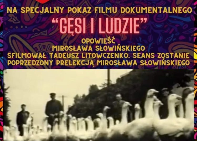 WOŚP trochę inaczej