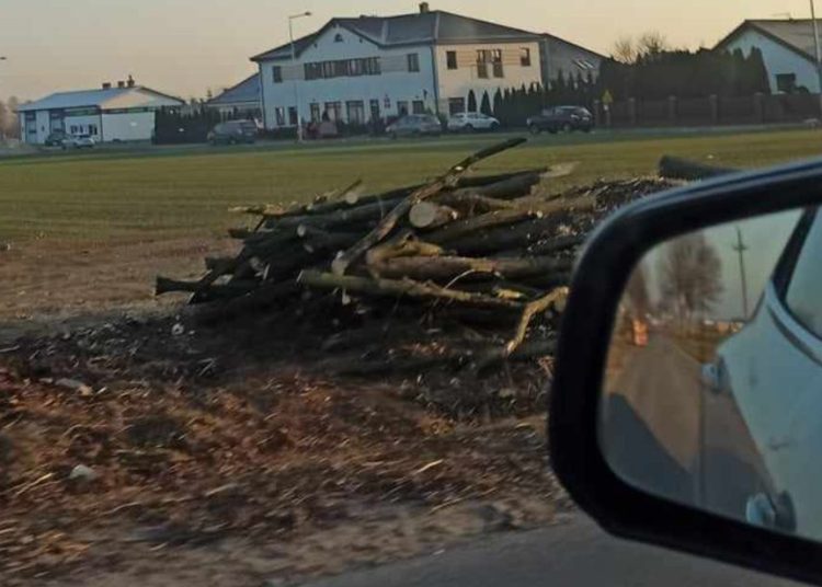 Wzbudza to wielkie kontrowersje. Starosta komentuje